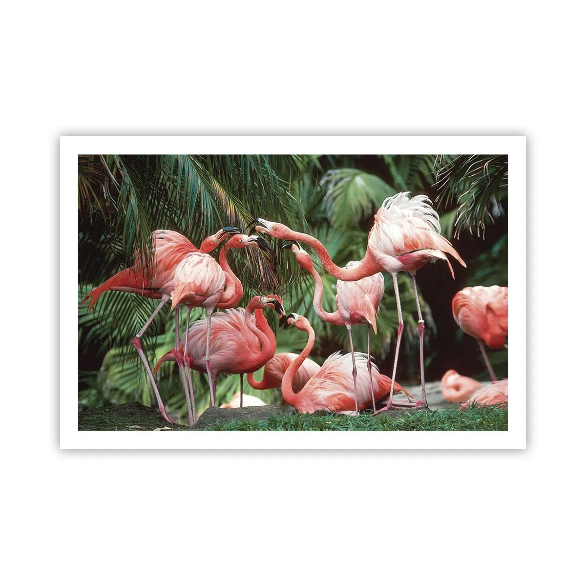 Poster - Pettegolezzi pomeridiani - 91x61 cm