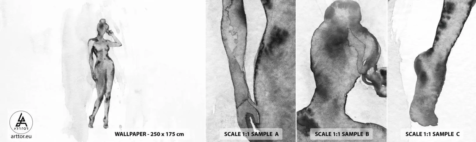 Campione Di Fotomurale Standard Eco - Studio di ideale di bellezza - Donna, Corpo femminile, Grafica - 100x30 cm