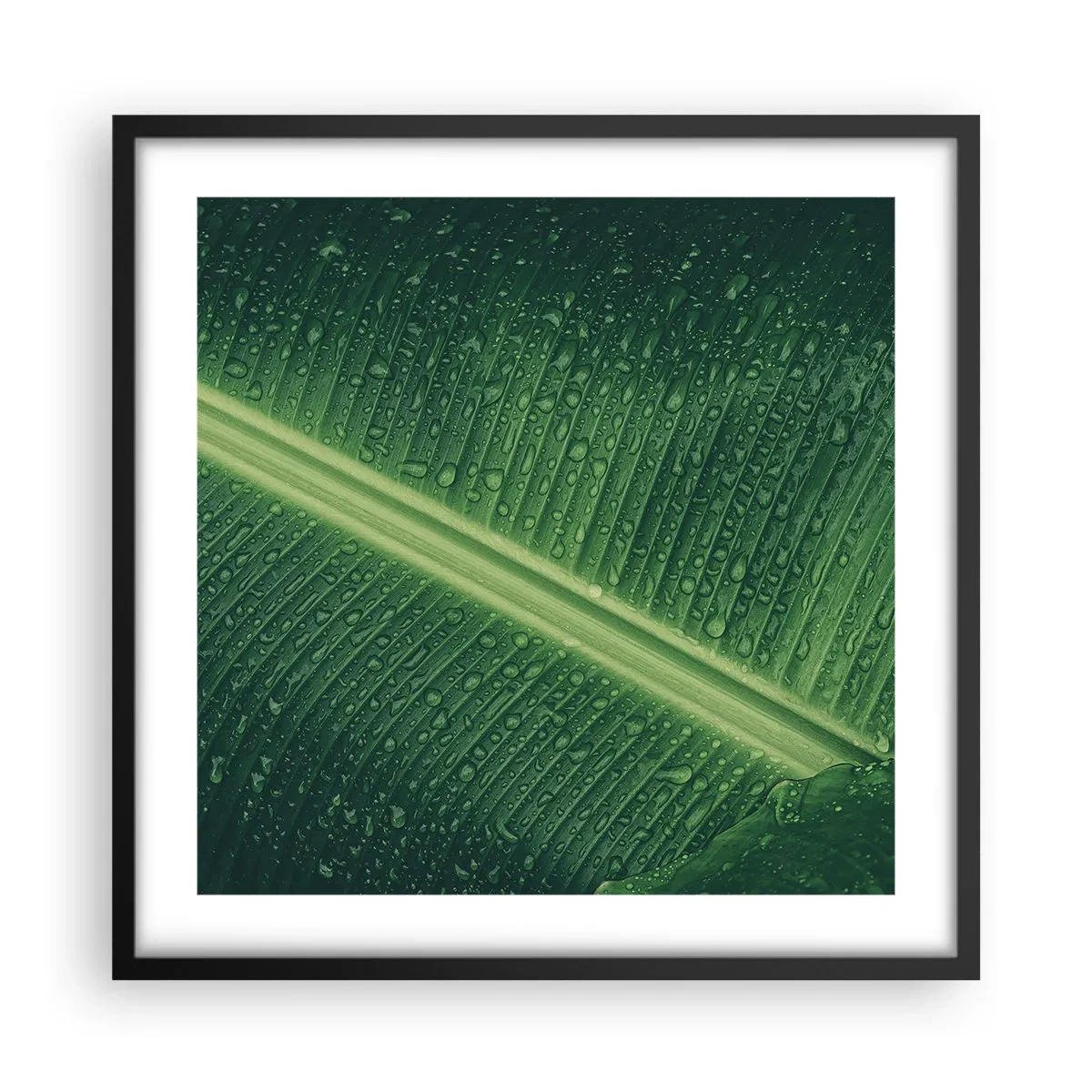 Poster in cornice nera - La struttura del verde - 50x50 cm
