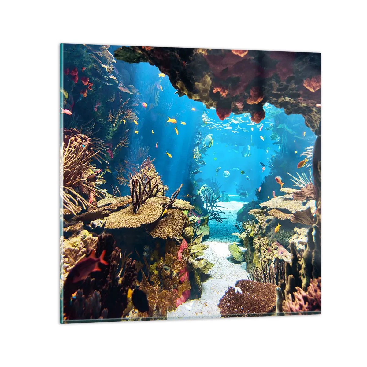 Quadro su vetro - Non lo avresti neanche sognato - 60x60 cm