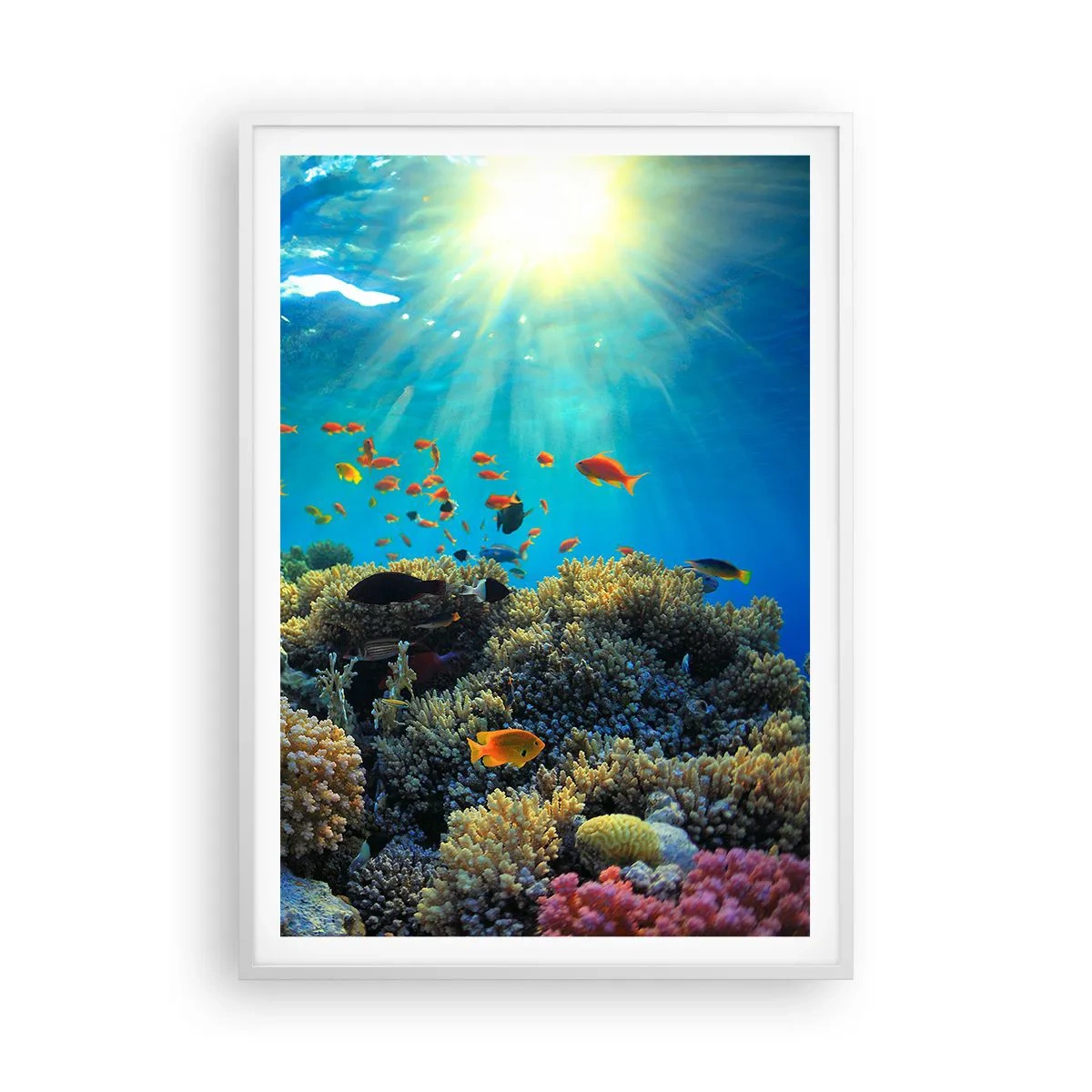 Poster in cornice bianca - Tesori sotto al mare - 70x100 cm