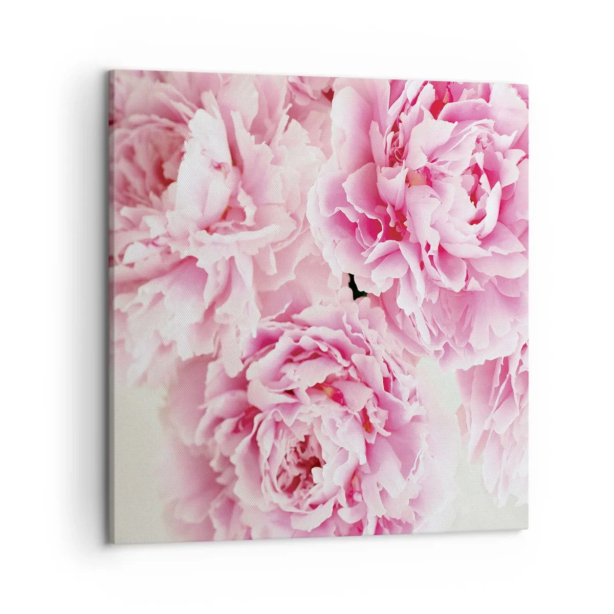 Quadro su tela - Stampe su Tela - Nel fasto rosa - 50x50 cm