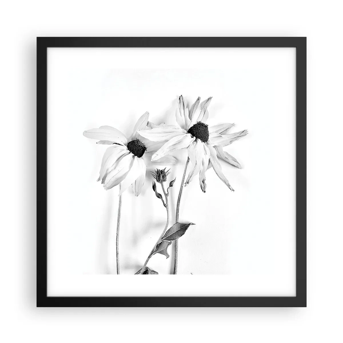 Poster in cornice nera - Nessuno vuole essere solo - 40x40 cm