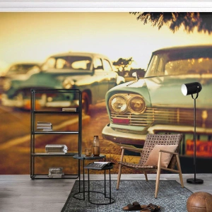 Fotomurali Standard Eco - Aspettiamo, vediamo - Auto, Cuba, Settore automobilistico - 500x350 cm