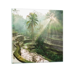 Quadro su vetro - Crescere al sole - 70x70 cm