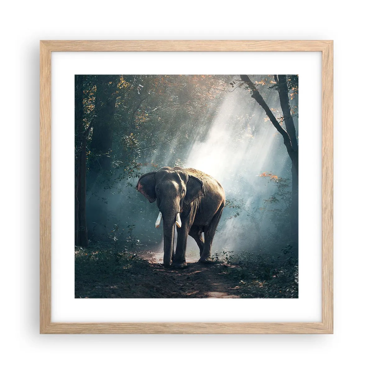 Poster in cornice rovere chiaro - Tranquilla passeggiata - 40x40 cm