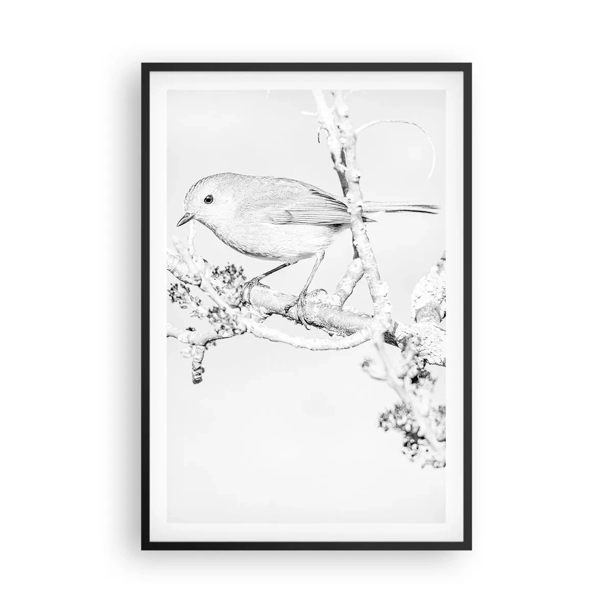 Poster in cornice nera - Mattino invernale - 61x91 cm