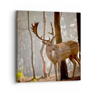 Quadro su tela - Stampe su Tela - La luce della giovinezza - 30x30 cm