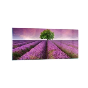 Quadro su vetro - Un campo di lavanda con un albero solitario e un cielo viola - 120x50cm - Sui campi di lavanda - Decorazione murale moderna per soggiorno e camera da letto ARTTOR