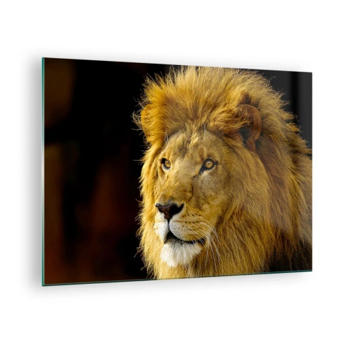 Quadro su vetro - Ritratto di un maestoso leone su uno sfondo scuro - 70x50cm - Ritratto del re - Decorazione murale moderna per soggiorno e camera da letto ARTTOR