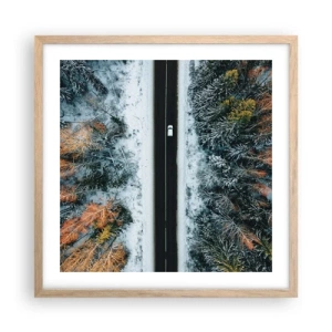 Poster in cornice rovere chiaro - Tagliando la foresta invernale - 50x50 cm