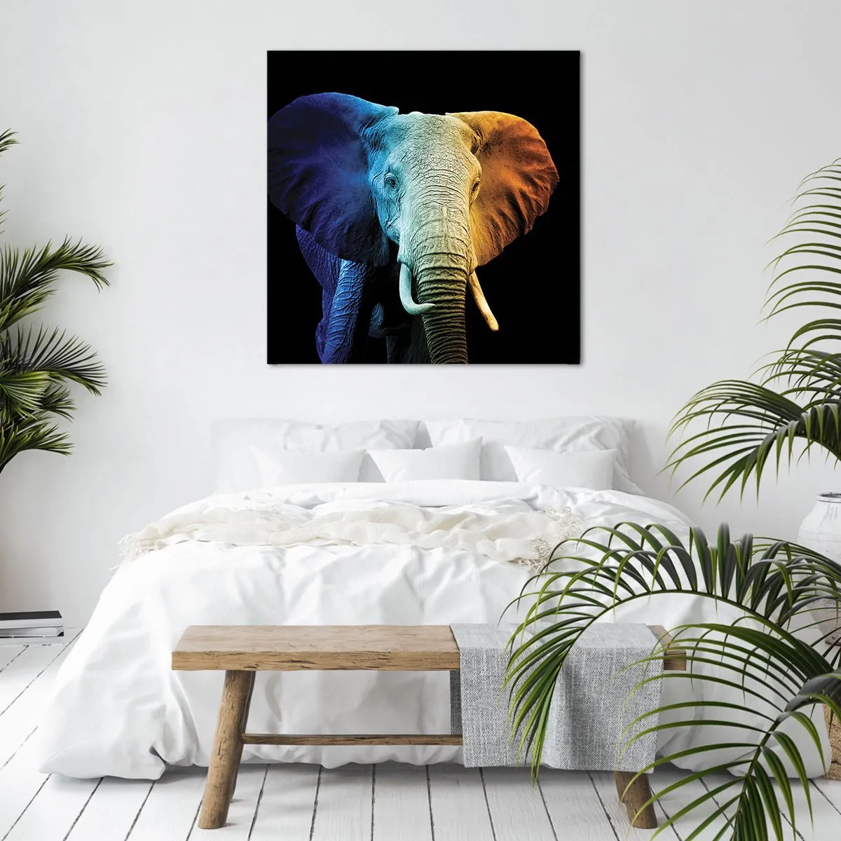 Quadro su tela - Stampe su Tela - Eccentrico, non strano - 70x70 cm