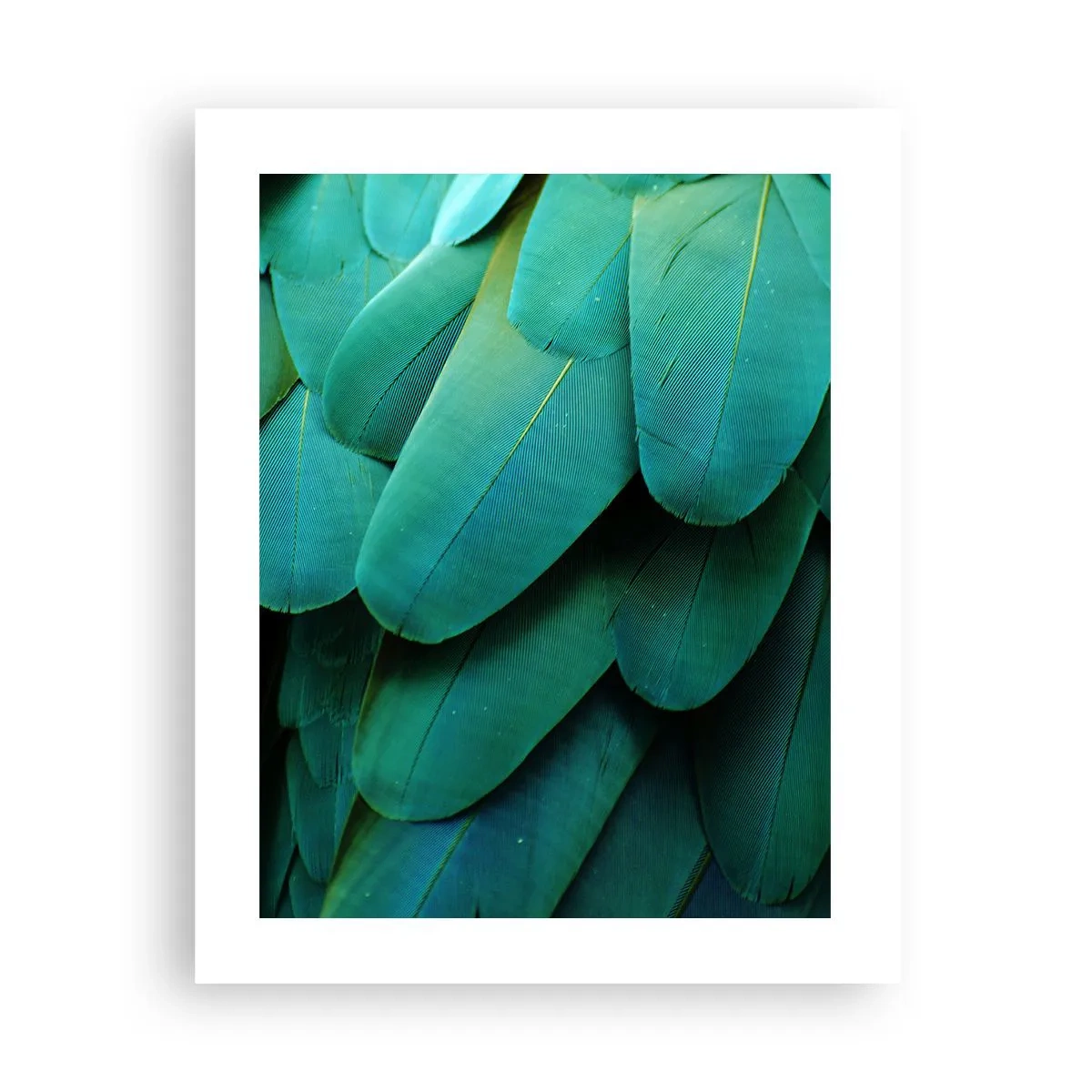 Poster - Precisione da pappagallo - 40x50 cm