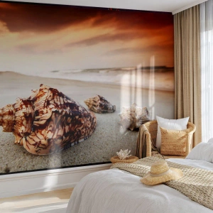 Fotomurale su misura Premium Sand - Esiliate dalle onde - Paesaggio, Mare, Conchiglia
