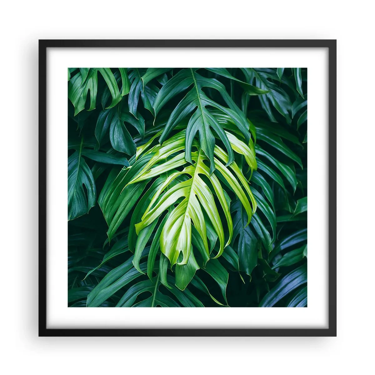 Poster in cornice nera - Immergersi nella freschezza - 50x50 cm