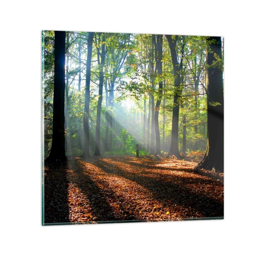 Quadro su vetro - Luci e ombre - 30x30 cm