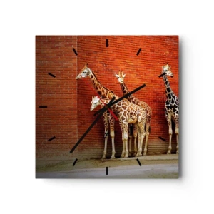 Orologio da parete - Orologio in Vetro - Quattro giraffe contro un muro di mattoni in un ambiente artistico - 30x30cm - Vedete qualche acacia? - Decorazione murale moderna per soggiorno e camera da letto ARTTOR