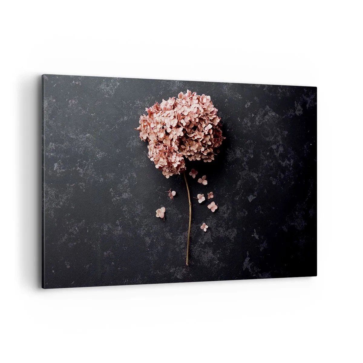 Quadro su tela - Stampe su Tela - Un delicato fiore di ortensia su uno sfondo scuro - 120x80cm - Un vero segno romantico - Decorazione murale moderna per soggiorno e camera da letto ARTTOR