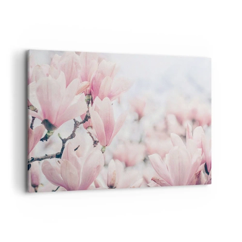 Quadro su tela - Stampe su Tela - Delicati fiori di magnolia in delicate tonalità rosa - 100x70cm - Ideale di delicatezza - Decorazione murale moderna per soggiorno e camera da letto ARTTOR