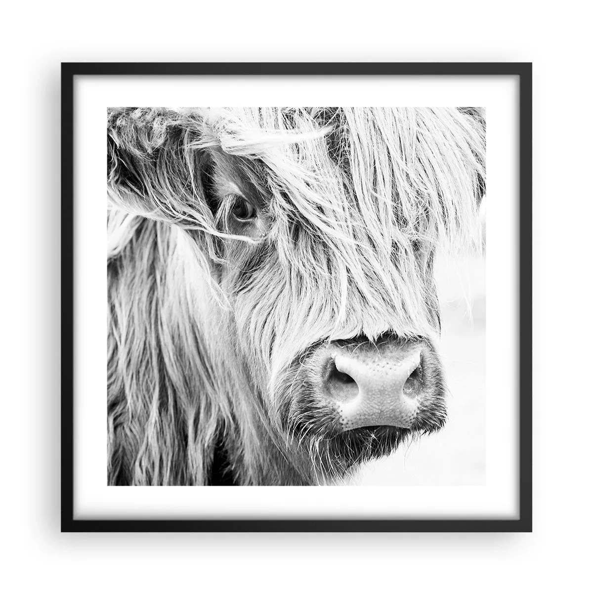Poster in cornice nera - Selvaticità scozzese - 50x50 cm