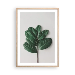 Poster in cornice rovere chiaro - Il disegno della natura stessa - 50x70 cm