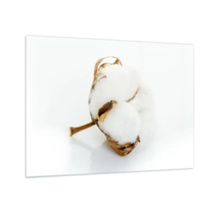 Quadro su vetro - Un singolo fiore di cotone soffice su uno sfondo bianco - 70x50cm - Naturalmente morbido - Decorazione murale moderna per soggiorno e camera da letto ARTTOR