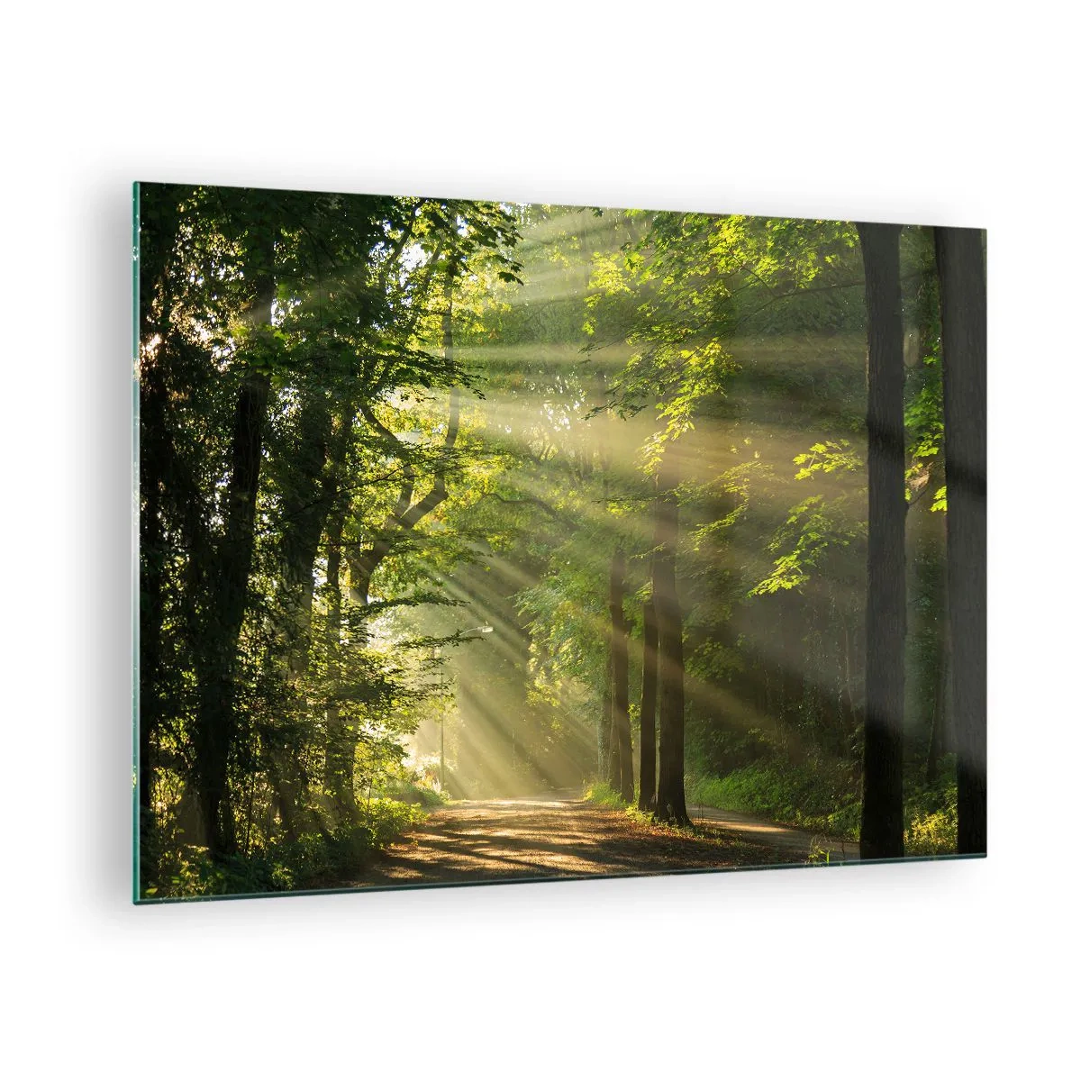 Quadro su vetro - Un sentiero nel bosco illuminato dai raggi del sole - 70x50cm - Un attimo nel bosco - Decorazione murale moderna per soggiorno e camera da letto ARTTOR