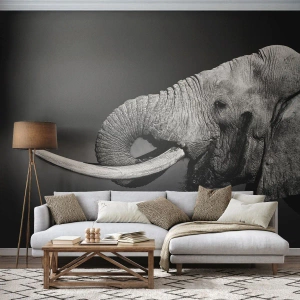 Fotomurali Premium Canvas - Si, adesso va bene - Animali, Elefante, Africa - 450x315 cm