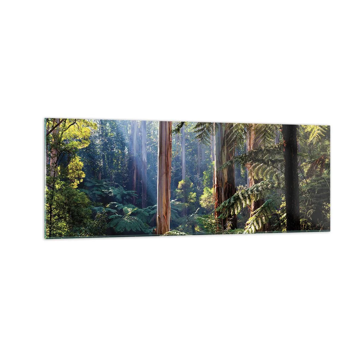 Quadro su vetro - Foresta tropicale illuminata dai raggi del sole - 140x50cm - La favola del bosco - Decorazione murale moderna per soggiorno e camera da letto ARTTOR