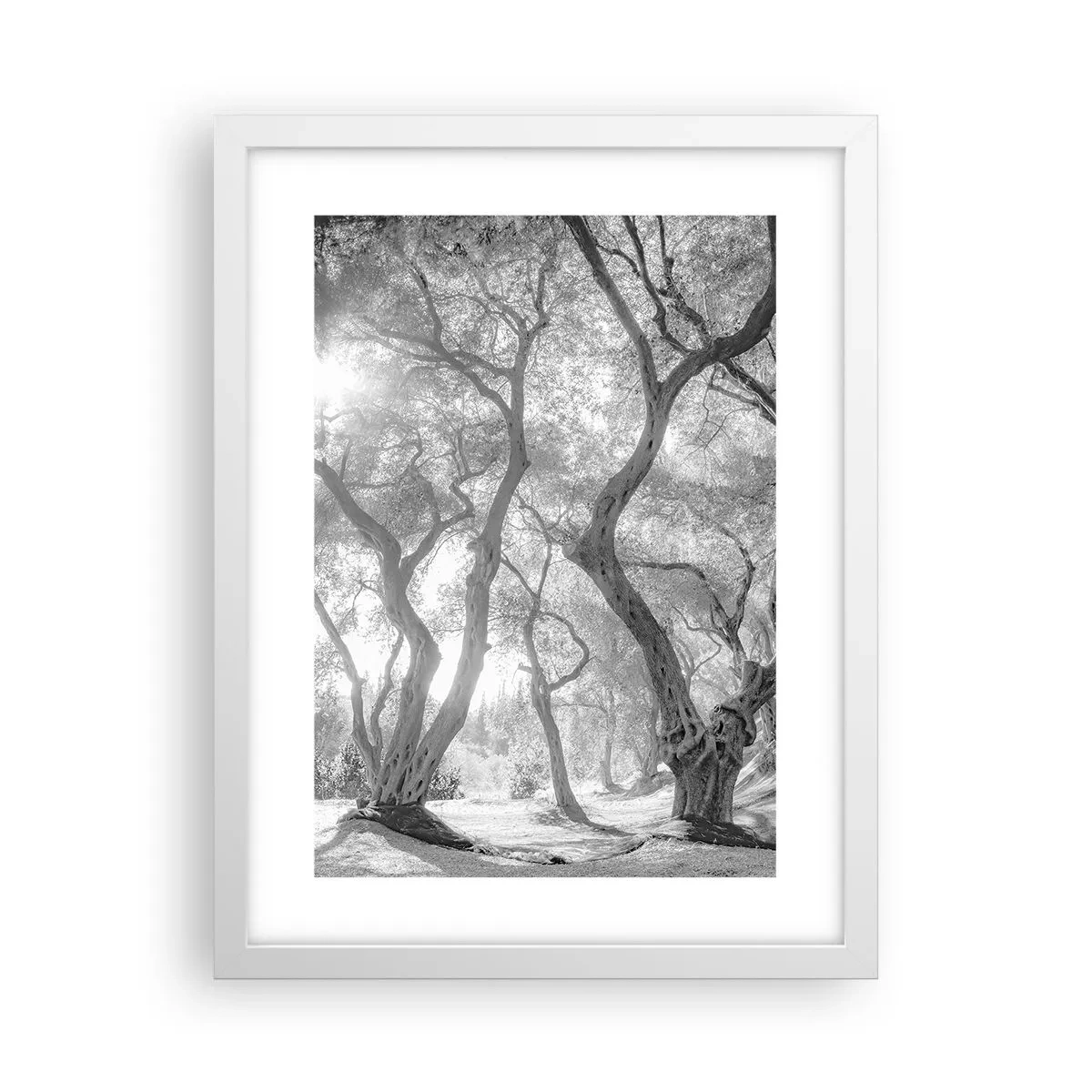 Poster in cornice bianca - Nell'orto degli ulivi - 30x40 cm