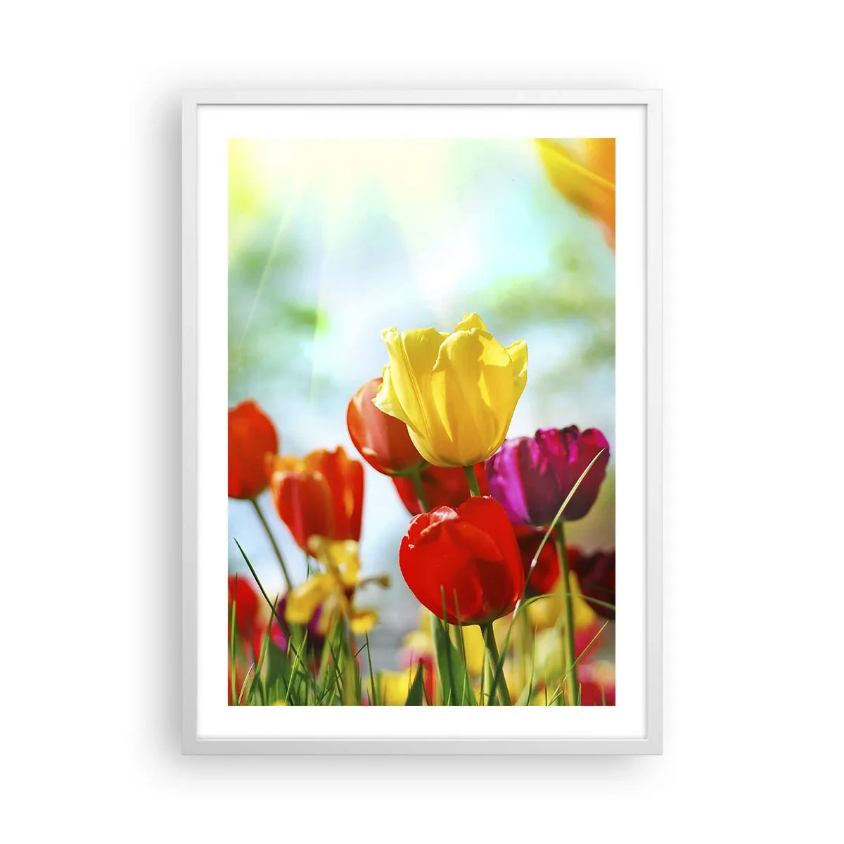 Poster in cornice bianca - Tutti i colori del sole - 50x70 cm