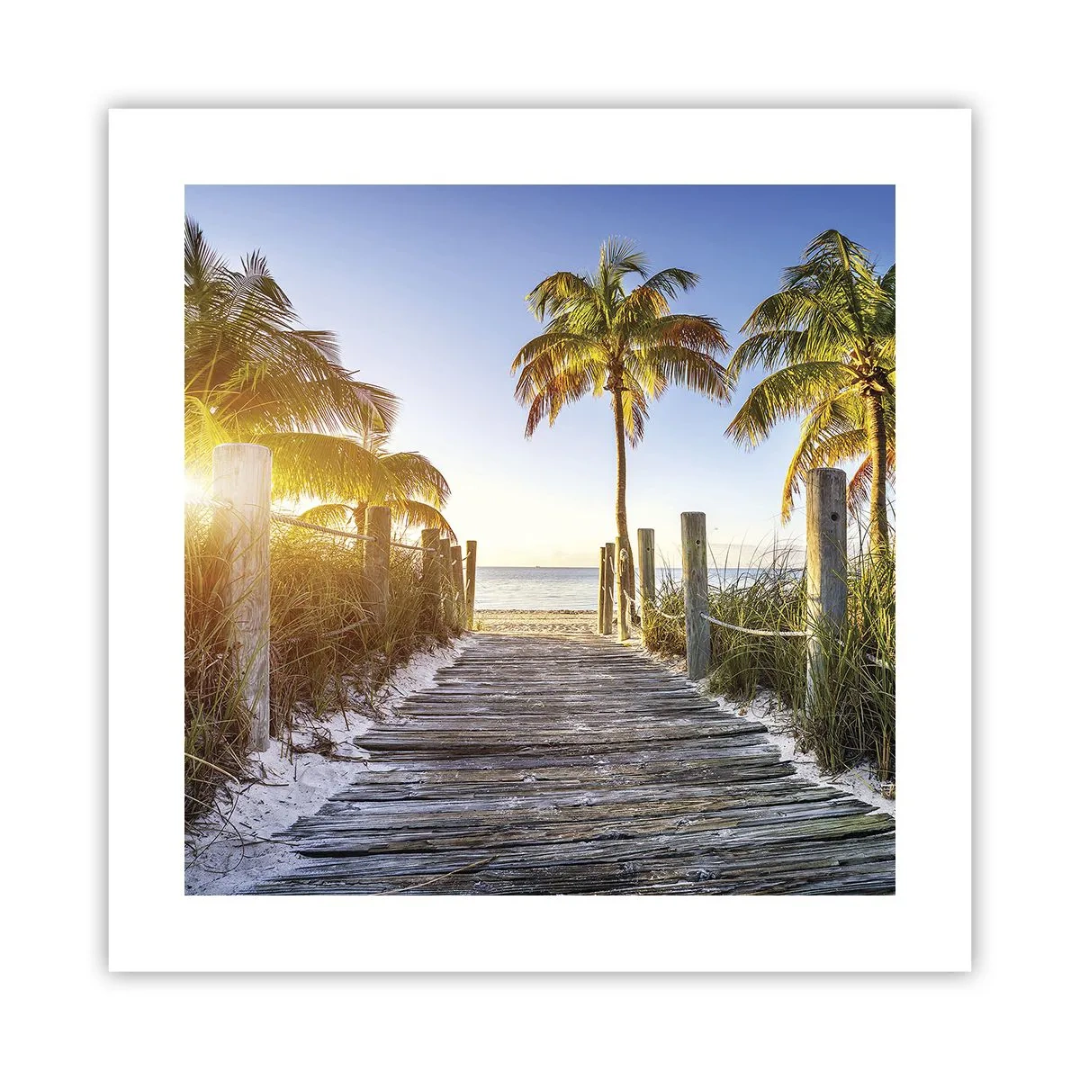 Poster - Dritto in paradiso - 40x40 cm