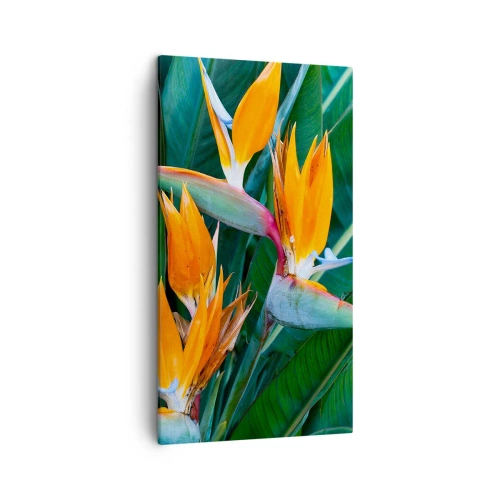 Quadro su tela - Stampe su Tela - È un fiore o un uccello? - 45x80 cm