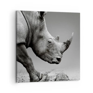 Quadro su tela - Stampe su Tela - Forza irrefrenabile - 60x60 cm