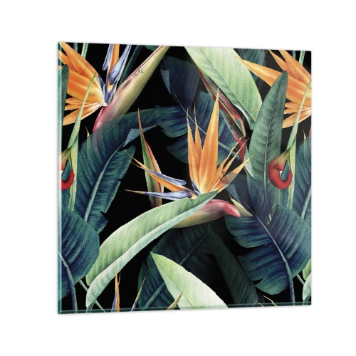 Quadro su vetro - I fiori fiammeggianti dei tropici - 50x50 cm