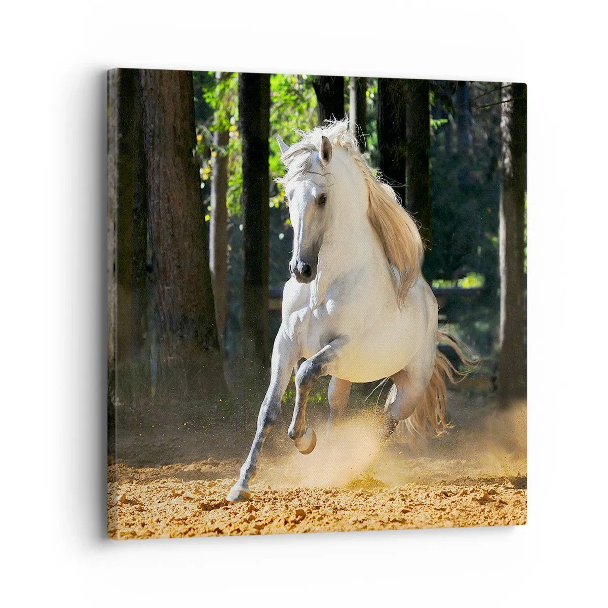 Quadro su tela - Stampe su Tela - Come nei racconti fantasy - 30x30 cm
