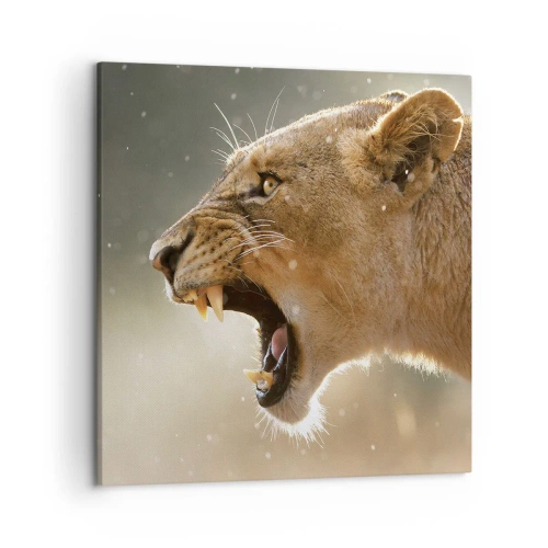 Quadro su tela - Stampe su Tela - Prova a non ascoltare - 50x50 cm