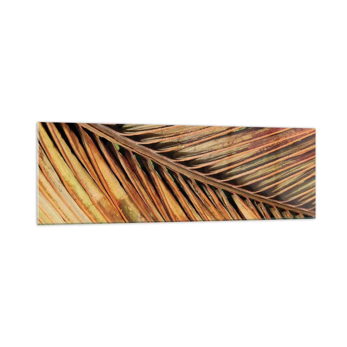 Quadro su vetro - Primo piano di una foglia di palma secca in toni caldi - 160x50cm - Oro di cocco - Decorazione murale moderna per soggiorno e camera da letto ARTTOR