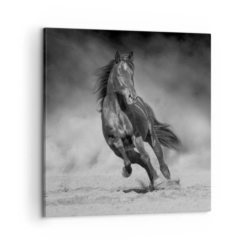 Quadro su tela - Stampe su Tela - Degno dell'emiro - 60x60 cm