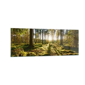 Quadro su vetro - Foresta verde illuminata dalla luce del sole sul muschio - 140x50cm - …dopo sette foreste - Decorazione murale moderna per soggiorno e camera da letto ARTTOR