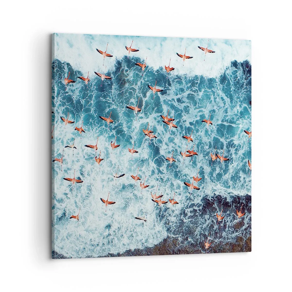 Quadro su tela - Stampe su Tela - Parata sotto il mare - 60x60 cm