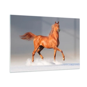 Quadro su vetro - Un cavallo al galoppo contro un cielo luminoso - 100x70cm - Grazia danzante - Decorazione murale moderna per soggiorno e camera da letto ARTTOR
