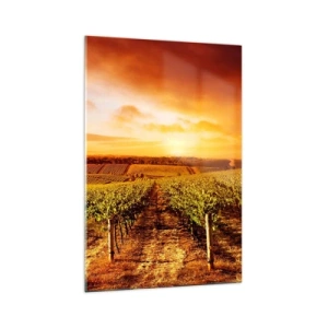 Quadro su vetro - Vigneto al tramonto con toni caldi del cielo - 70x100cm - Profumo di frutta con una nota di sole - Decorazione murale moderna per soggiorno e camera da letto ARTTOR
