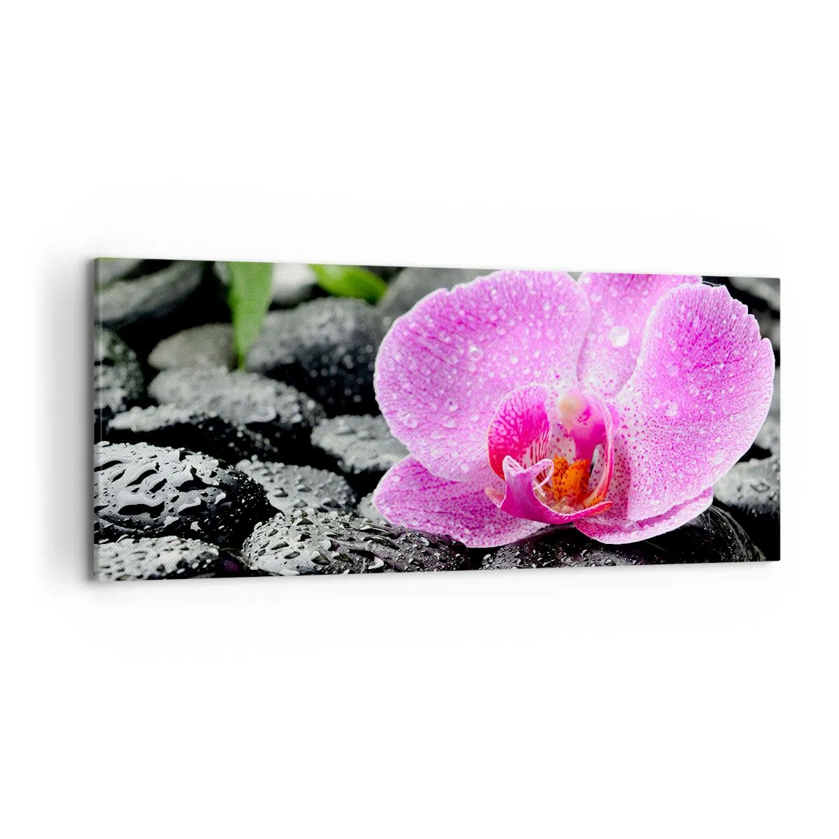 Quadro su tela - Stampe su Tela - Orchidea rosa su pietre nere bagnate con foglie verdi - 120x50cm - Come un cuore aperto - Decorazione murale moderna per soggiorno e camera da letto ARTTOR