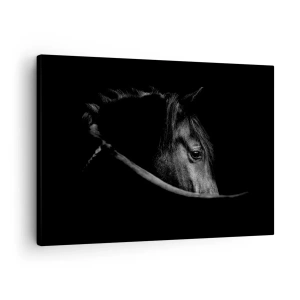 Quadro su tela - Stampe su Tela - Ritratto in bianco e nero di un cavallo con un sottile gioco di luci e ombre su uno sfondo scuro. - 70x50cm - Il principe nero - Decorazione murale moderna per soggiorno e camera da letto ARTTOR