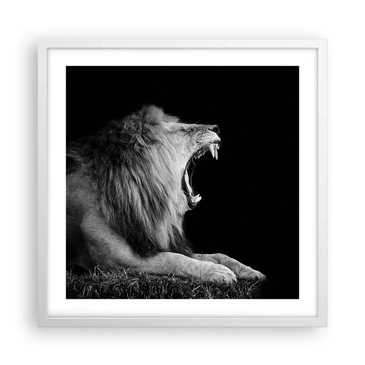 Poster in cornice bianca - Senza alcun dubbio - 50x50 cm