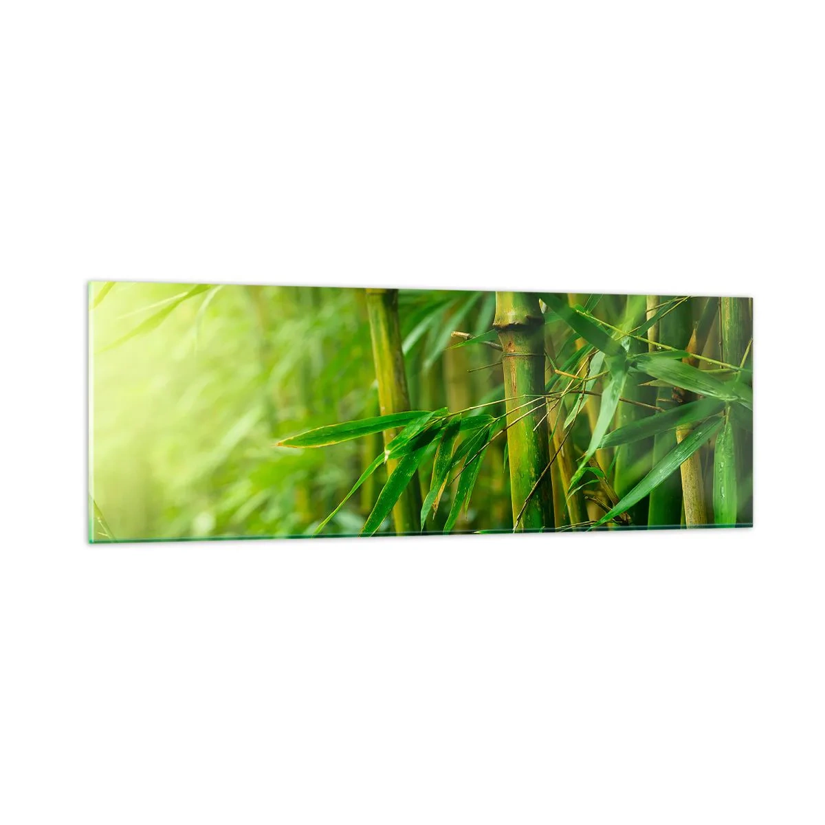 Quadro su vetro - Conoscere il verde in sé - 90x30 cm