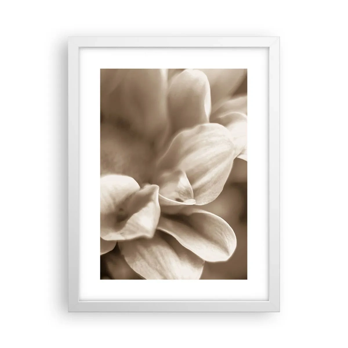 Poster in cornice bianca - Mite come un sorriso - 30x40 cm