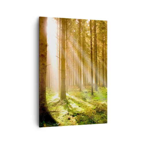 Quadro su tela - Stampe su Tela - Foresta di conifere con raggi di sole che brillano attraverso gli alberi - 70x100cm - Adesso appaiono gli elfi - Decorazione murale moderna per soggiorno e camera da letto ARTTOR