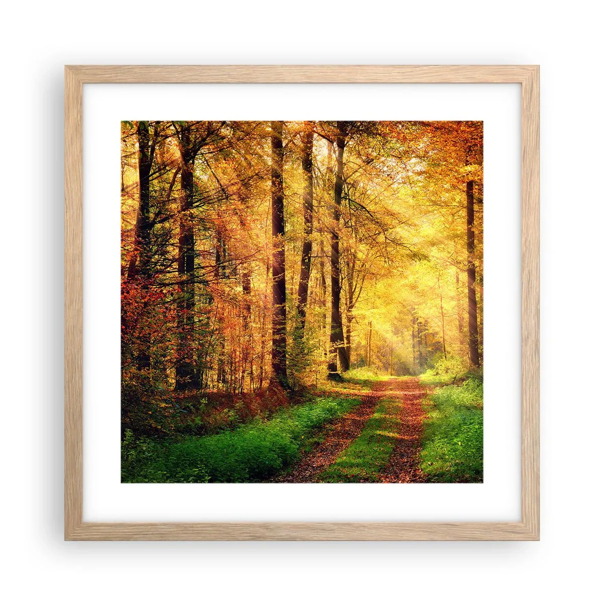 Poster in cornice rovere chiaro - Il silenzio d'oro del bosco - 40x40 cm